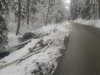 2013-03-14-13-01-57