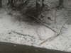 2013-03-14-13-02-04