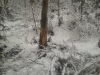 2013-03-14-13-02-32