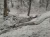 2013-03-14-13-02-37