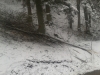 2013-03-14-13-02-46