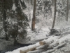 2013-03-14-13-02-53