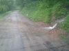 2013-06-03-07-45-07