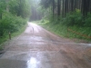 2013-06-03-07-47-18