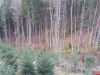 20160207_154259