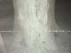 IMG-20160101-WA0008