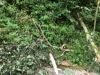 IMG-20170821-WA0003