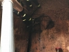IMG-20180320-WA0085