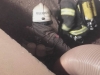IMG-20180617-WA0017