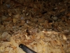 IMG-20190926-WA0010