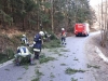 IMG-20200205-WA0021