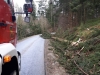 IMG-20200211-WA0008