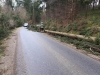 IMG-20200211-WA0009