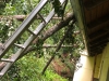 IMG-20200811-WA0017