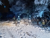 IMG-20210106-WA0045
