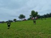 6-2