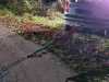 IMG-20221201-WA0009