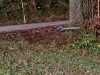 IMG-20221201-WA0018