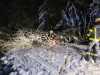 IMG-20231202-WA0004