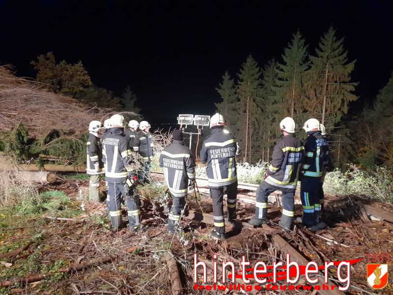 IMG-20231109-WA0020