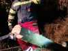 IMG-20231109-WA0008