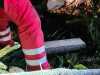 IMG-20231109-WA0010