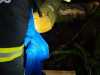 IMG-20231109-WA0011