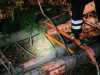 IMG-20231109-WA0013