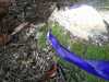 IMG-20231109-WA0021