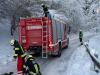 IMG-20231204-WA0011