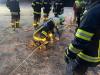 IMG-20250409-WA0026