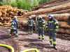 IMG-20250426-WA0015