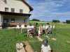 IMG-20250829-WA0052