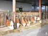 192272-eyJ0eXAiOiJKV1QiLCJhbGciOiJIUzUxMiJ9-eyJpc3MiOiJodHRw.1789839805