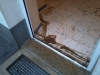 2012-06-12-20-09-43