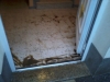 2012-06-12-20-09-49